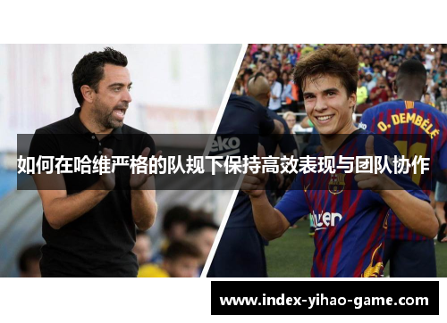 如何在哈维严格的队规下保持高效表现与团队协作