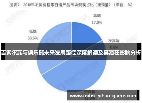 吉索尔菲与俱乐部未来发展路径深度解读及其潜在影响分析