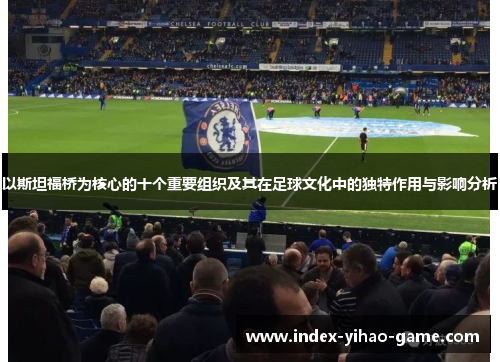以斯坦福桥为核心的十个重要组织及其在足球文化中的独特作用与影响分析