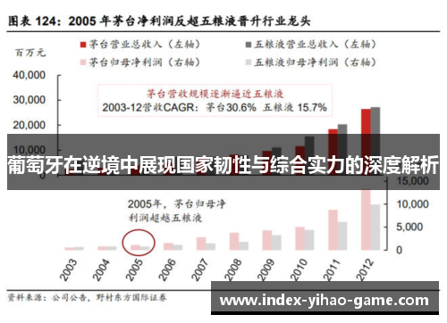 葡萄牙在逆境中展现国家韧性与综合实力的深度解析