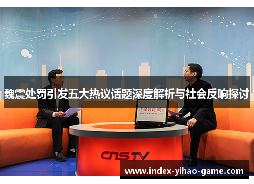 魏震处罚引发五大热议话题深度解析与社会反响探讨