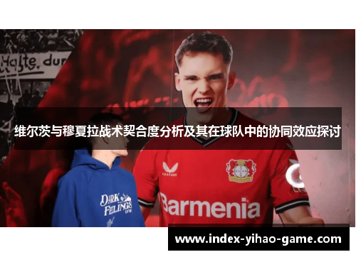 维尔茨与穆夏拉战术契合度分析及其在球队中的协同效应探讨